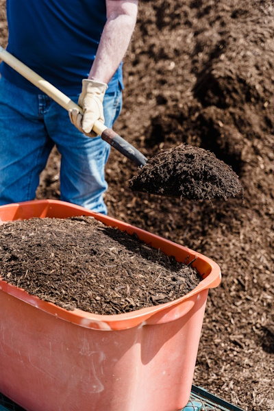 Mulch installation to enhance soil and curb appeal